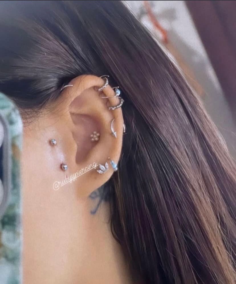 Ruby's Piercing  cover image